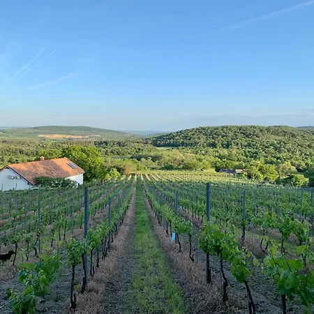 Kali Panorama Birtok * Mindszentkálla