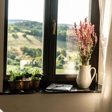 Kali Panorama Birtok