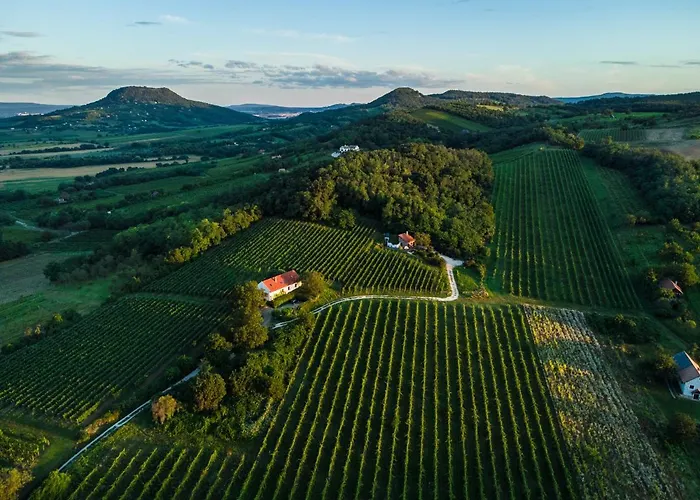 Kali Panorama Birtok