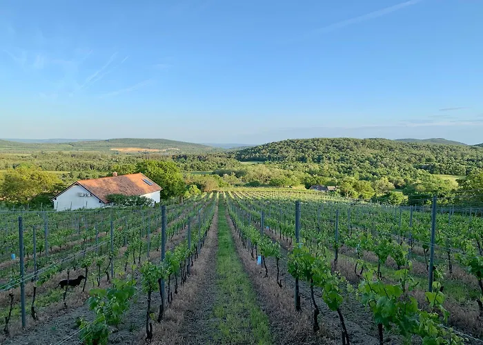 Kali Panorama Birtok * Mindszentkálla