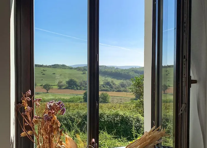 Kali Panorama Birtok